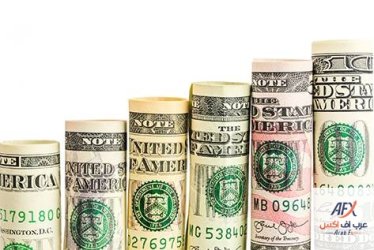 DOLLARUP_01_L.jpg DOLLARUP_01_L.jpg