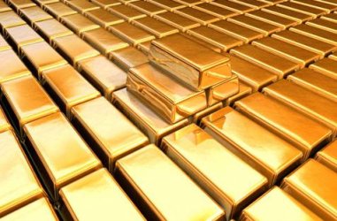 Gold_General_L_1.jpg Gold_General_L_1.jpg